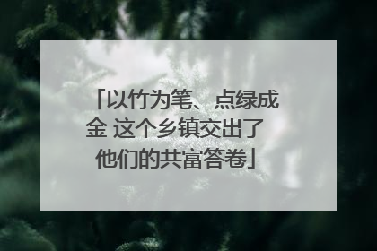 以竹为笔、点绿成金 这个乡镇交出了他们的共富答卷