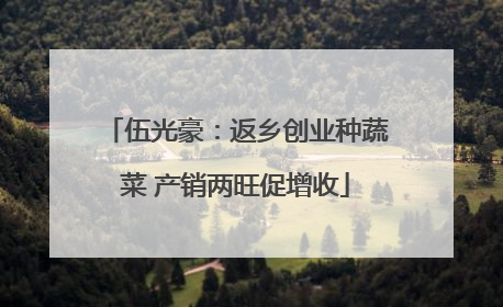 伍光豪：返乡创业种蔬菜 产销两旺促增收