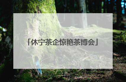 休宁茶企惊艳茶博会