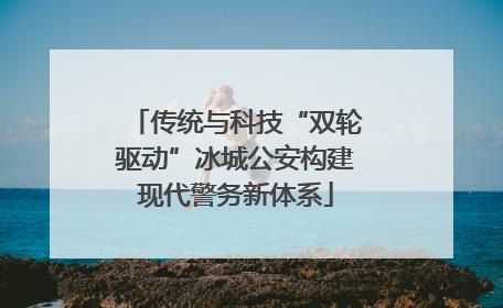 传统与科技“双轮驱动”冰城公安构建现代警务新体系