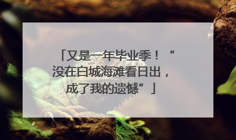 又是一年毕业季！“没在白城海滩看日出，成了我的遗憾”