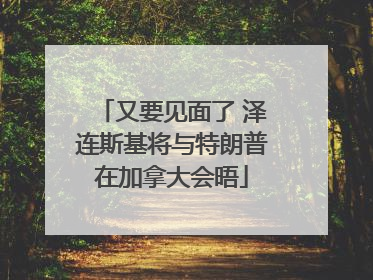 又要见面了 泽连斯基将与特朗普在加拿大会晤