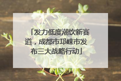 发力低度潮饮新赛道，成都市邛崃市发布三大战略行动