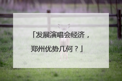 发展演唱会经济，郑州优势几何？