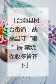 台前县凤台街道：战高温守“粮”辰 禁烧保收多管齐下