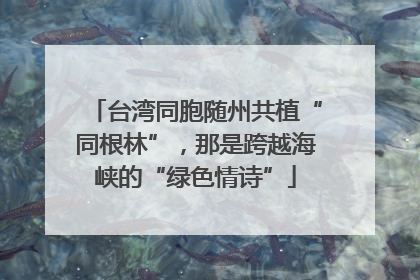 台湾同胞随州共植“同根林”，那是跨越海峡的“绿色情诗”