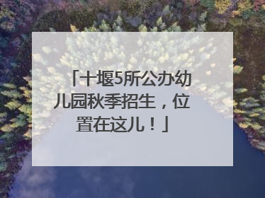 十堰5所公办幼儿园秋季招生，位置在这儿！