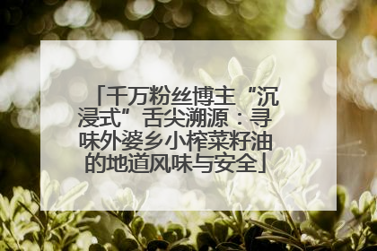 千万粉丝博主“沉浸式”舌尖溯源：寻味外婆乡小榨菜籽油的地道风味与安全