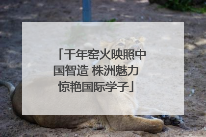 千年窑火映照中国智造 株洲魅力惊艳国际学子
