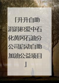 升升自助 涓涓积爱中石化黄冈石油分公司启动自助加油公益项目