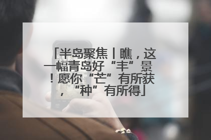 半岛聚焦丨瞧，这一幅青岛好“丰”景！愿你“芒”有所获，“种”有所得