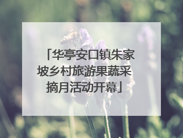 华亭安口镇朱家坡乡村旅游果蔬采摘月活动开幕