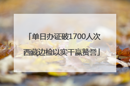 单日办证破1700人次 西藏边检以实干赢赞誉