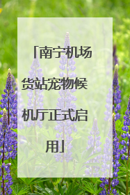 南宁机场货站宠物候机厅正式启用