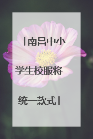 南昌中小学生校服将统一款式