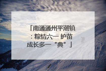 南通通州平潮镇：粽情六一 护苗成长多一“典”