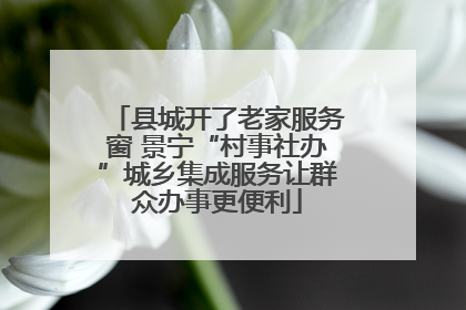 县城开了老家服务窗 景宁“村事社办”城乡集成服务让群众办事更便利