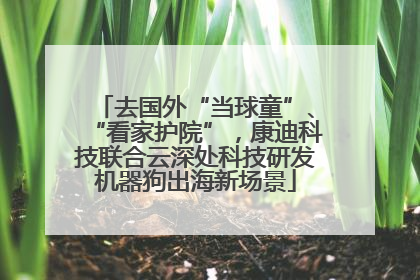 去国外“当球童”、“看家护院”，康迪科技联合云深处科技研发机器狗出海新场景