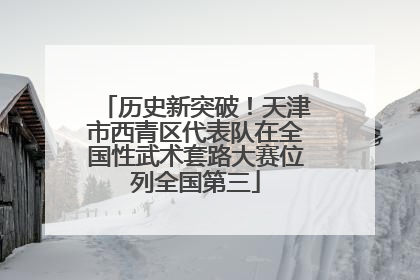 历史新突破！天津市西青区代表队在全国性武术套路大赛位列全国第三