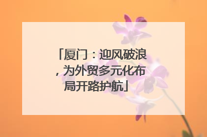 厦门：迎风破浪，为外贸多元化布局开路护航