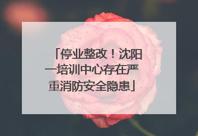 停业整改！沈阳一培训中心存在严重消防安全隐患