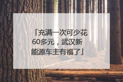 充满一次可少花60多元，武汉新能源车主有福了