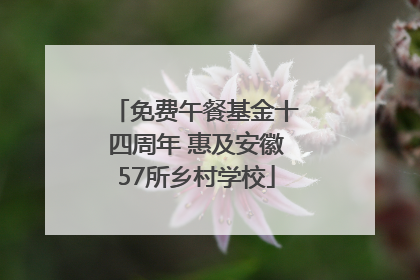 免费午餐基金十四周年 惠及安徽57所乡村学校