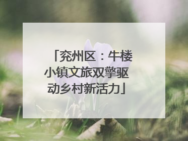 兖州区：牛楼小镇文旅双擎驱动乡村新活力