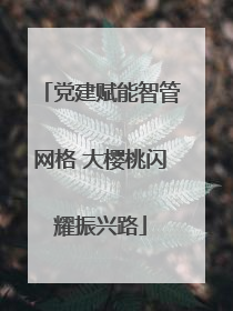 党建赋能智管网格 大樱桃闪耀振兴路