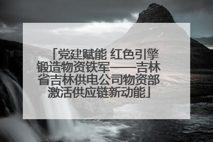党建赋能 红色引擎锻造物资铁军——吉林省吉林供电公司物资部激活供应链新动能