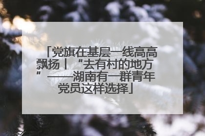 党旗在基层一线高高飘扬丨“去有村的地方”——湖南有一群青年党员这样选择