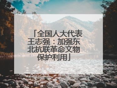 全国人大代表王志强：加强东北抗联革命文物保护利用