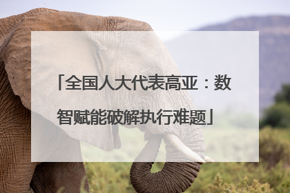 全国人大代表高亚：数智赋能破解执行难题
