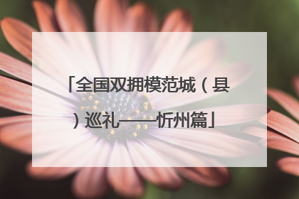 全国双拥模范城（县）巡礼——忻州篇