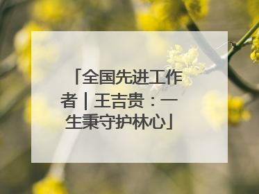 全国先进工作者｜王吉贵：一生秉守护林心