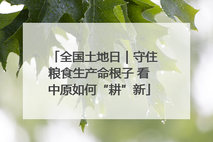 全国土地日｜守住粮食生产命根子 看中原如何“耕”新