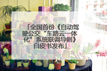 全国首份《自动驾驶公交“车路云一体化”系统联调导则》白皮书发布