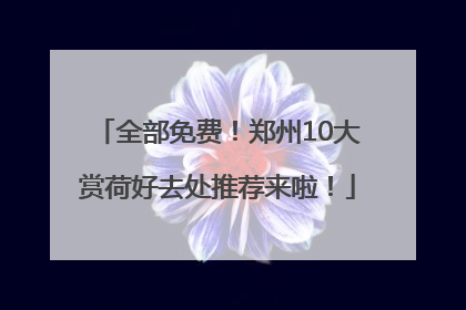 全部免费！郑州10大赏荷好去处推荐来啦！