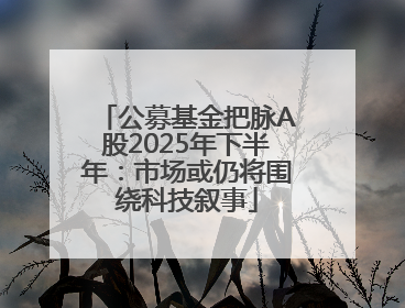 公募基金把脉A股2025年下半年：市场或仍将围绕科技叙事