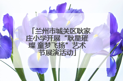 兰州市城关区耿家庄小学开展“耿星璀璨 童梦飞扬”艺术节展演活动