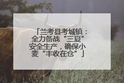 兰考县考城镇：全力备战“三夏”安全生产，确保小麦“丰收在仓”