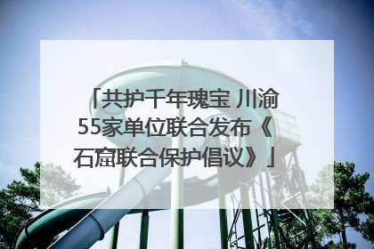 共护千年瑰宝 川渝55家单位联合发布《石窟联合保护倡议》