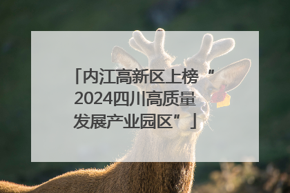 内江高新区上榜“2024四川高质量发展产业园区”