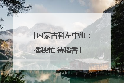 内蒙古科左中旗：插秧忙 待稻香