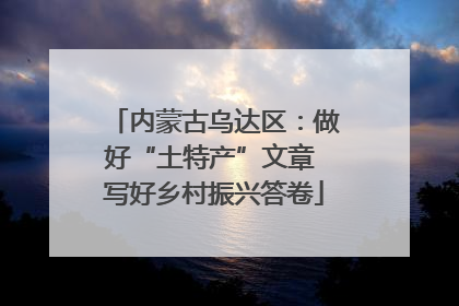 内蒙古乌达区：做好“土特产”文章 写好乡村振兴答卷