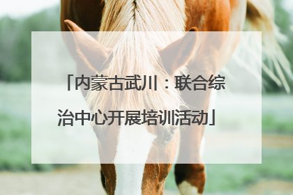 内蒙古武川：联合综治中心开展培训活动