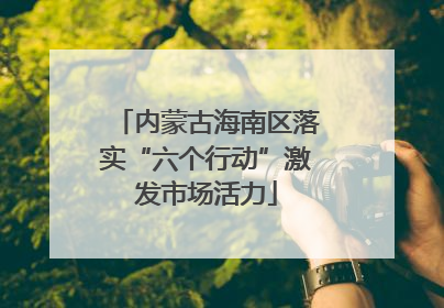 内蒙古海南区落实“六个行动”激发市场活力
