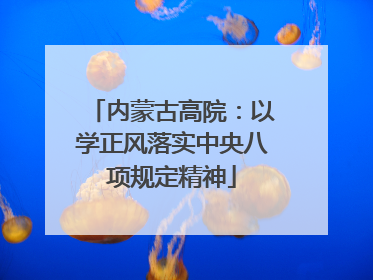 内蒙古高院：以学正风落实中央八项规定精神