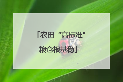农田“高标准” 粮仓根基稳