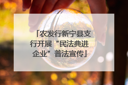 农发行新宁县支行开展“民法典进企业”普法宣传